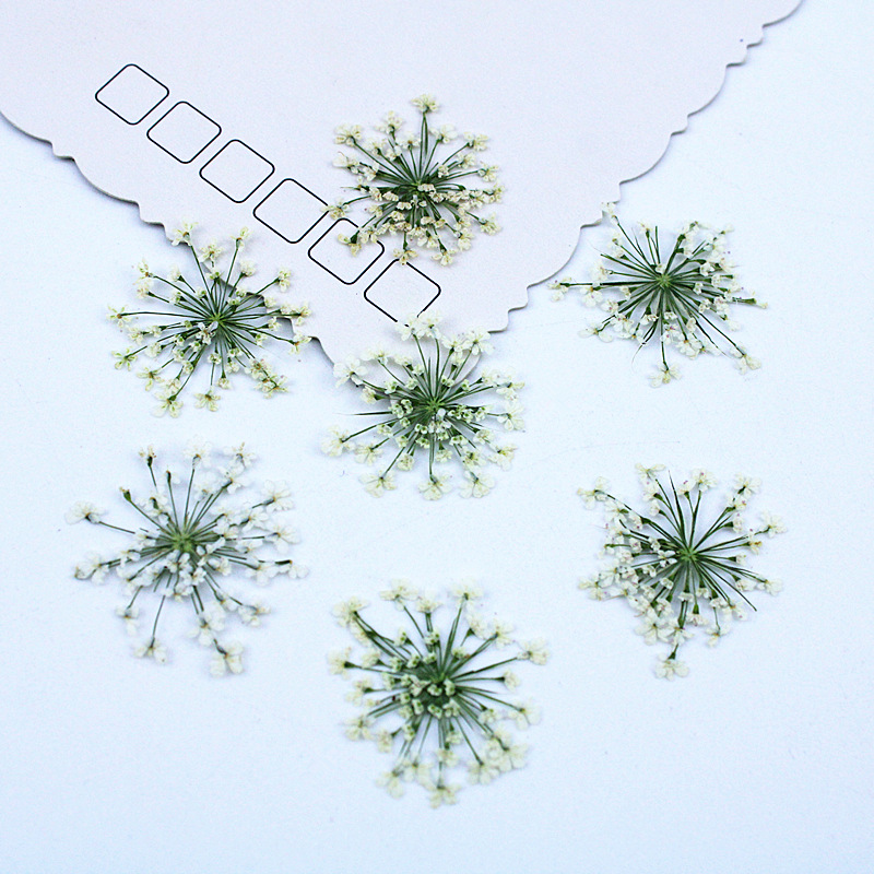 500pcs Lace Flowers Dried Flow - Resin Art Baby recension och pris